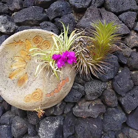 Casa Florida